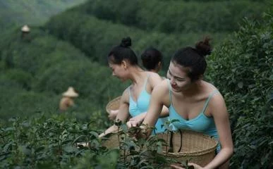 水蜜桃免费高清电视剧大全 水蜜桃免费高清电视剧大全